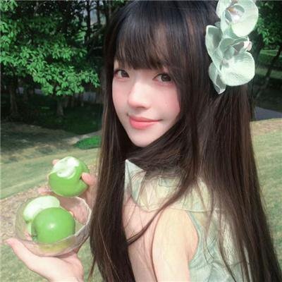 洪拳小子